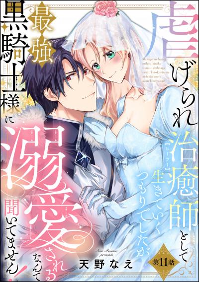 虐げられ治癒師として生きていくつもりでしたが最強黒騎士様に溺愛されるなんて聞いてません!(分冊版)