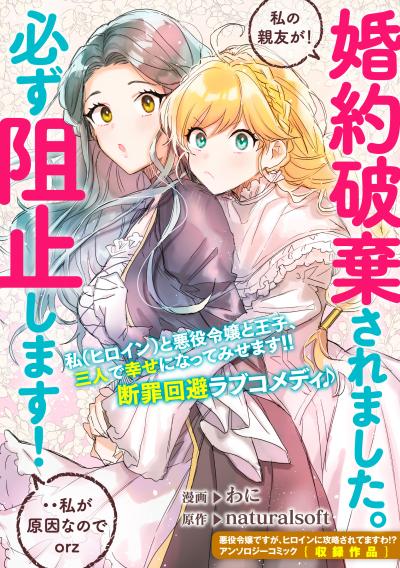 婚約破棄されました。私の親友が!必ず阻止します!・・私が原因なのでorz