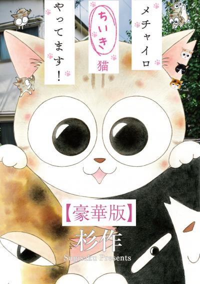 メチャイロちいき猫やってます!【豪華版】