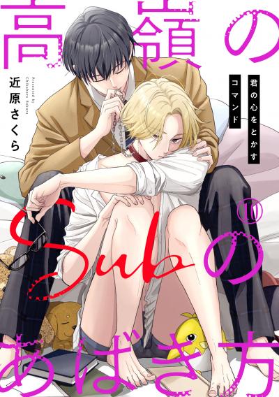 高嶺のSubのあばき方～君の心をとかすコマンド～