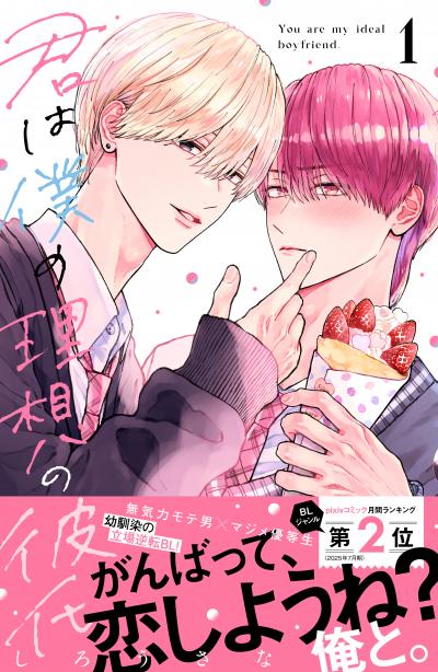 君は僕の理想の彼氏
