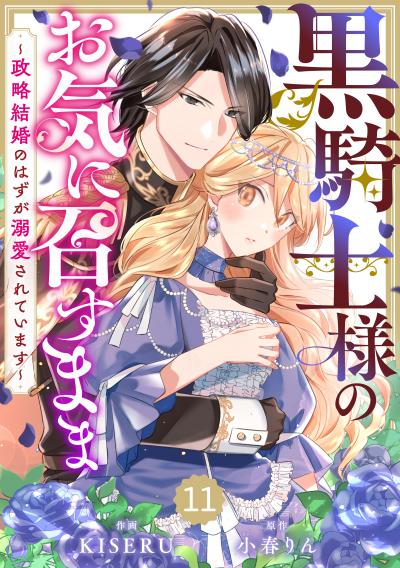 Berry's Fantasy 黒騎士様のお気に召すまま～政略結婚のはずが溺愛されています～(分冊版)