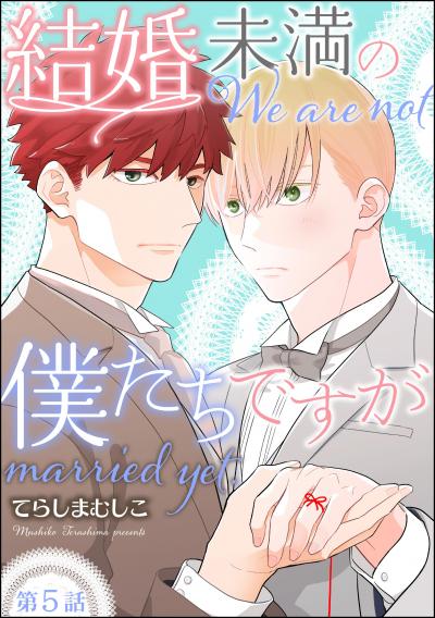 結婚未満の僕たちですが(分冊版)