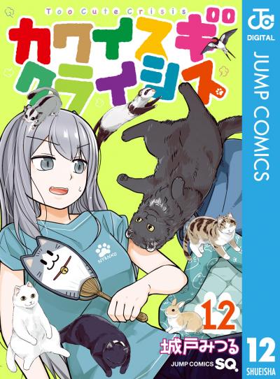 カワイスギクライシス