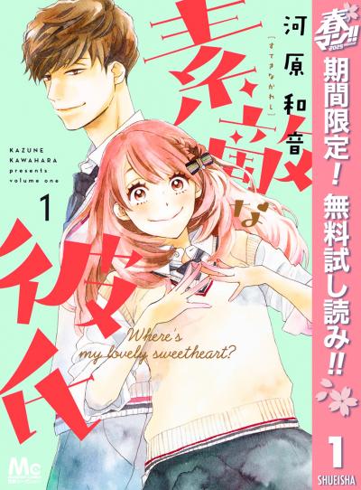 素敵な彼氏【期間限定無料】