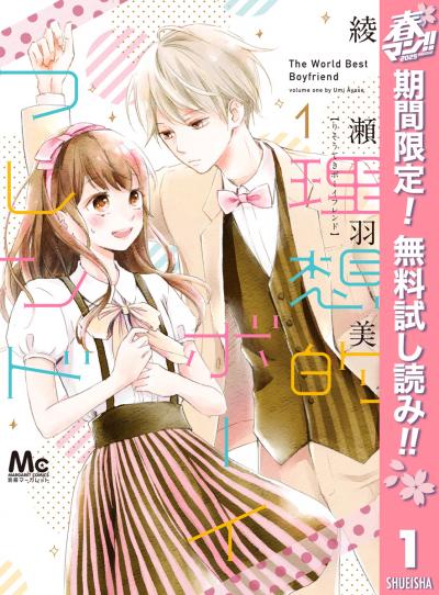理想的ボーイフレンド【期間限定無料】