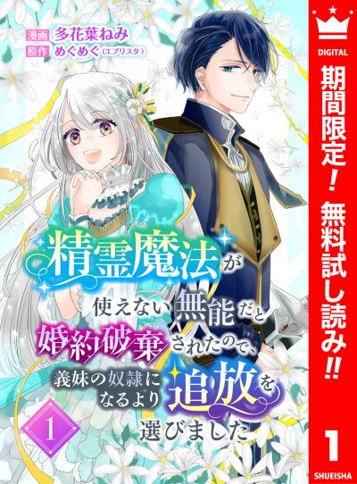 精霊魔法が使えない無能だと婚約破棄されたので、義妹の奴隷になるより追放を選びました【期間限定無料】