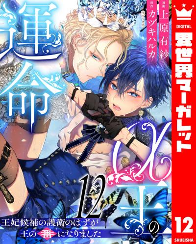 α王の運命~王妃候補の護衛のはずが王の番になりました~