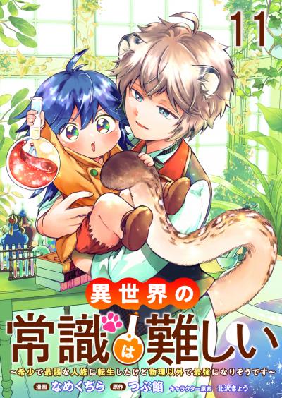 異世界の常識は難しい～希少で最弱な人族に転生したけど物理以外で最強になりそうです～ ストーリアダッシュ連載版