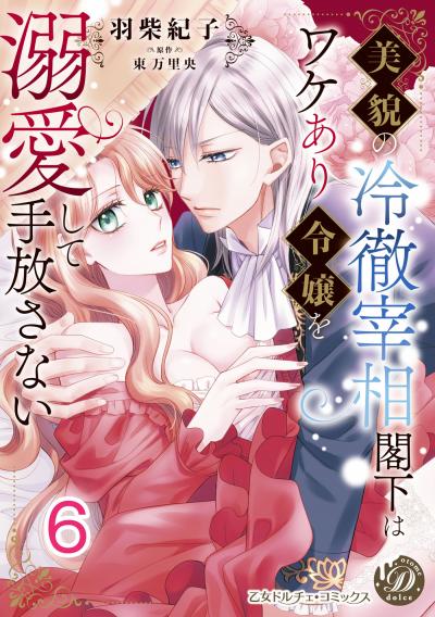 美貌の冷徹宰相閣下はワケあり令嬢を溺愛して手放さない【分冊版】