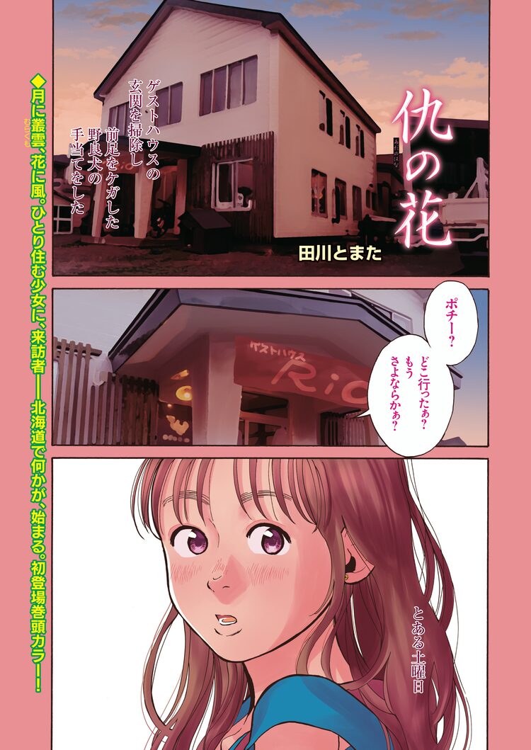 北海道のゲストハウスを舞台に 問題抱えた男女の出会い描く田川とまたの読切 Happy コミック