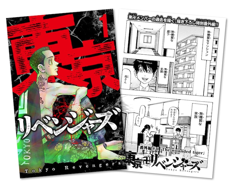 【美品】東京卍リベンジャーズ DVD特典 ブックレット6冊